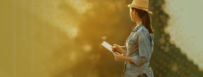 服務(wù)優(yōu)勢(shì)